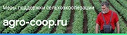 Меры поддержки.
